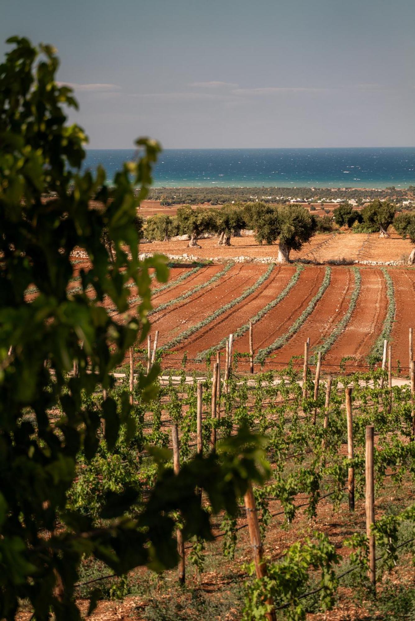 Masseria Auraterrae Polignano a Mare Dış mekan fotoğraf