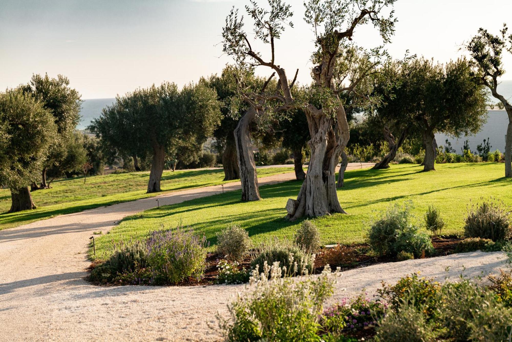 Masseria Auraterrae Polignano a Mare Dış mekan fotoğraf